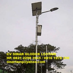 Lampu Jalan PJU Solar Cell 30 watt
